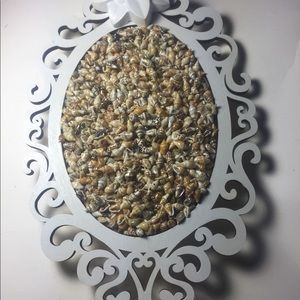 Seashells wall decor